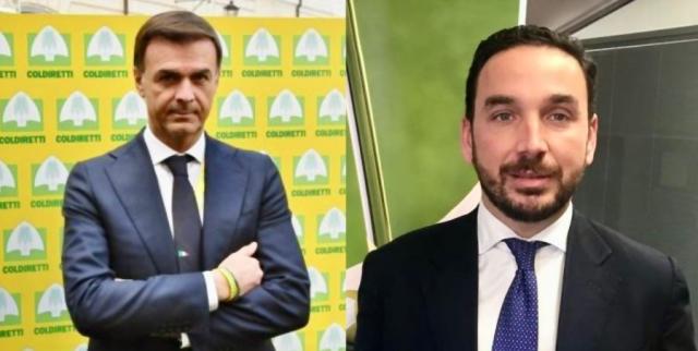 Coldiretti e Unaprol Importazioni di olio record a +78% nel 2025; prezzi dell&rsquo;extravergine ai minimi storici degli ultimi tre anni