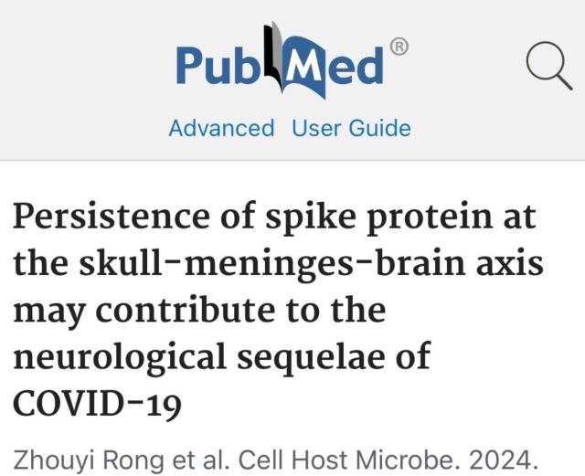 Studio tedesco vaccino Covid sequenze neurologiche