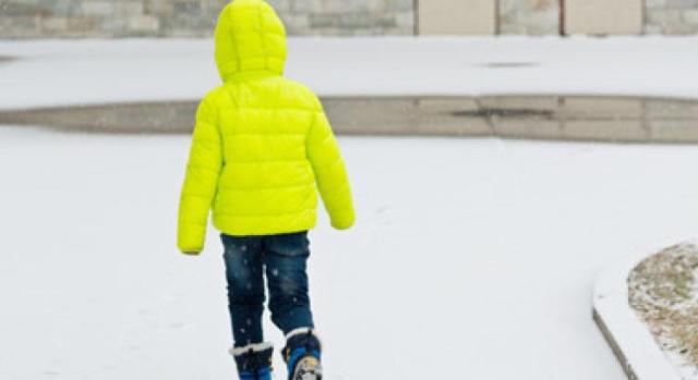 Cadore, bambino lasciato a piedi dall'autobus e tornato a casa in ipotermia, autista sospeso e denunciato, aperta inchiesta