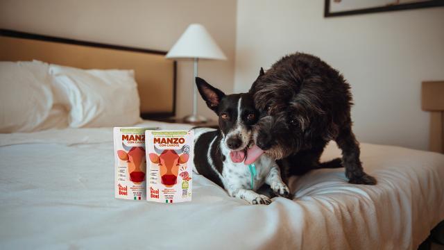 Real Bowl, pappa fresca per cani, conservabile fino a 45 giorni fuori dal frigorifero e pratica da trasportare in viaggio