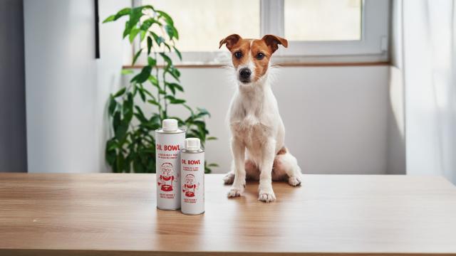 Real Bowl, presentato un olio nutriente per il bulbo pilifero e la salute della pelle dei cani durante la muta stagionale