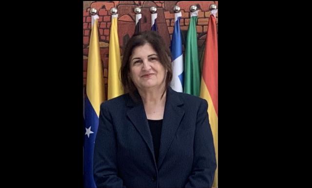 Palestina, ministro Esteri Shahin al Consiglio dei Diritti Umani: "Israele continua con le uccisioni di massa, non c'&egrave; alcuna risoluzione"