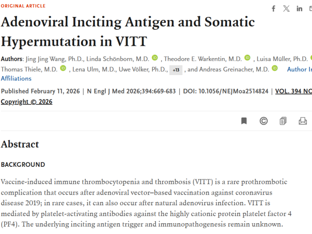 Effetti avversi vaccino Covid, "casi di trombocitopenia trombotica immunitaria indotta da sieri Astrazeneca e Johnson" - lo STUDIO tedesco