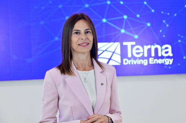 Studio TEHA&ndash;Terna, nel 2025 record europeo per produzione energia rinnovabile (50%); investimenti da &euro;23 miliardi entro il 2034
