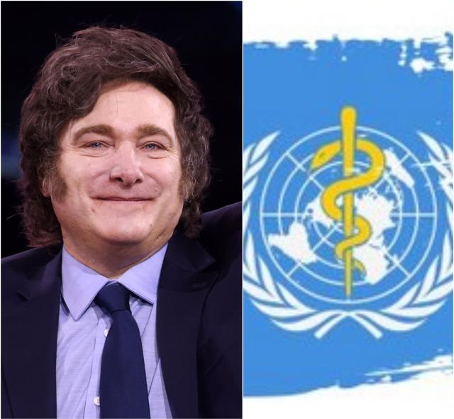 Argentina lascia l'OMS allineandosi con scelta Usa: contestata gestione della "pandemia", Milei: "Vogliamo sovranit&agrave; sanitaria"