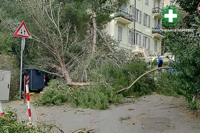 Genova, 170 interventi dei vigili del fuoco in 24 ore per alberi caduti e tegole strappate dalla furia del vento, chiuso un asilo