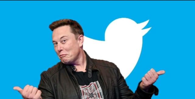 Twitter, Musk: "Ai sondaggi voteranno solo gli utenti abbonati"