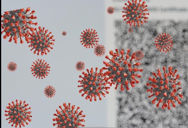 Covid, Bertolaso: "Variante Arturo identificata in italia". &Egrave; al San Matteo di Pavia