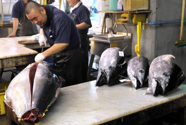 Tokyo, 257mila euro per il tonno da 212 chili all'asta del pesce