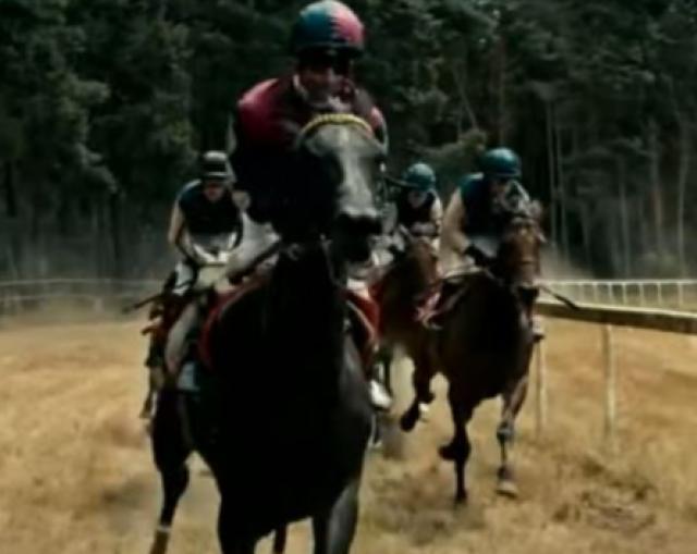 Immenhof - L'avventura di un'estate: storia vera, trama e cast del film