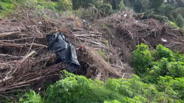 Omicidio Siragusa: Oggi l'ultimo saluto a Roberta