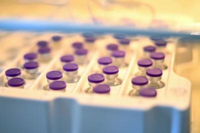 Vaccini, a Rieti fila da ieri sera per il Junior Open day: boom della fascia 12-16 anni