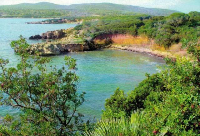 Isole covid free: &egrave; gi&agrave; scontro tra le Regioni