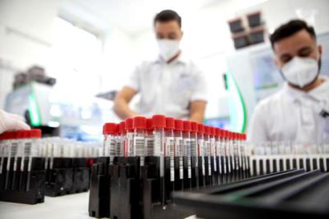 Covid: studio, gene riduce rischio morte del 35%, ce l'ha 1 europeo su 10