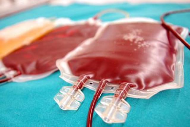 Ancona, buttati 6 quintali di sangue dall'ospedale Torrette, 1600 sacche di plasma nella spazzatura per negligenze organizzative