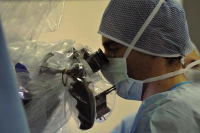 Cervello umano, mappata la "casa" dell'intelligenza fluida: lo studio dell'University College London