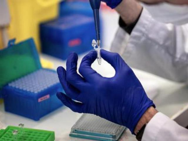 Malattie rare, endocrinologa Brandi: "Bene rimborsabilit&agrave; terapia Xlh anche per adulti"