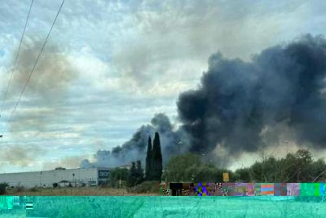 Incendi, 700 nel 2025 e 320 km quadrati in fumo, da Iss consigli salva-aria