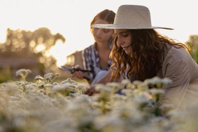 Sostenibilit&agrave;, torna 'The Good Farmer Award': candidature aperte fino al 15 maggio