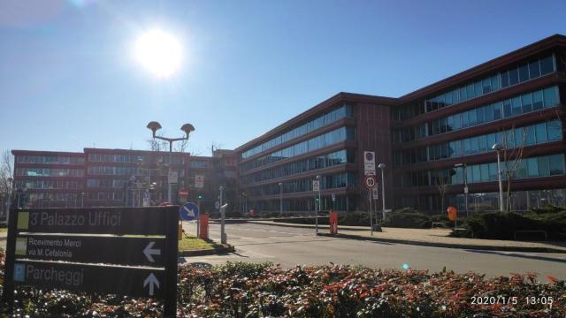 Saipem: salvato Tolly, un cucciolo di foca a Scarborough