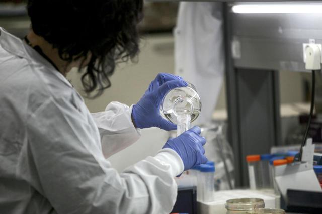 Ricerca scientifica: "Glutine provoca infiammazione del cervello". Lo studio per&ograve; &egrave; stato condotto solo sui topi