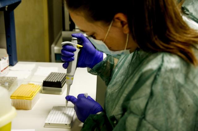 Coronavirus, Galli: 'Scoperti due anticorpi per possibile cura'