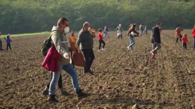 California, dal 2027 defunti trasformati in concime: gli Usa esasperano la svolta green