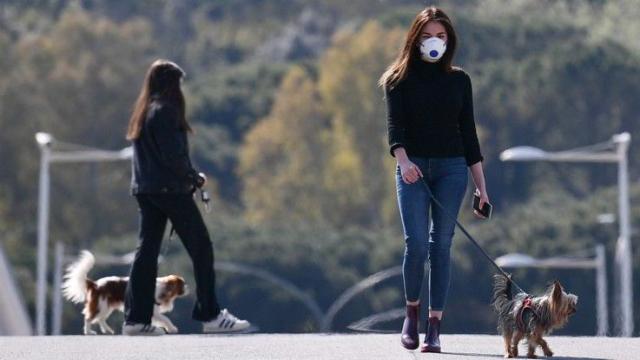 Covid, 'rosso scuro' per 7 Regioni e 2 province: la nuova mappa dell'Ecdc