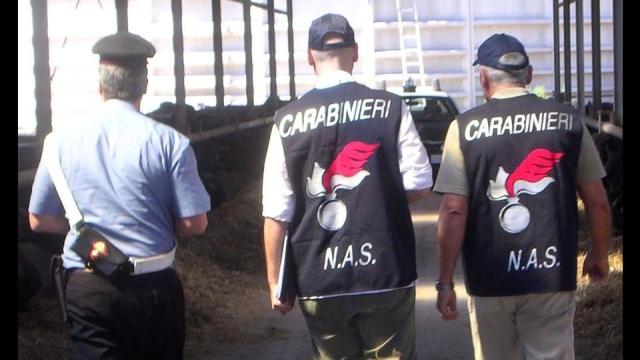 Salute, Nas: "Una guardia medica su quattro &egrave; irregolare"