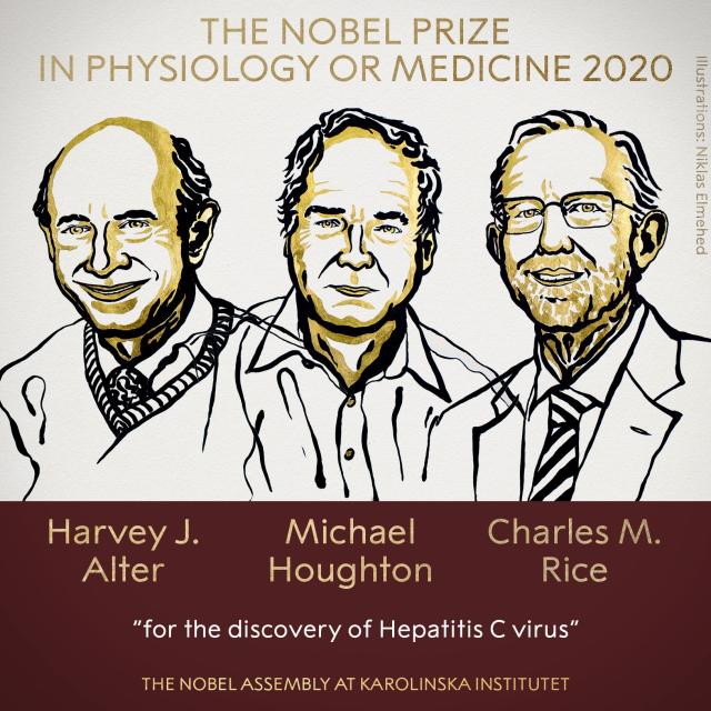Premio Nobel Medicina 2020 agli scopritori del virus dell&rsquo;epatite C. ECCO I VINCITORI