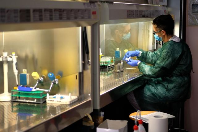 Coronavirus, vaccino Oxford 'efficace al 70% ma pi&ugrave; economico'