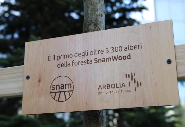 Snam: primo albero di una foresta di oltre 3mila piante dedicata alle sue persone
