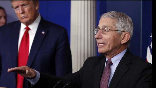 Usa, Trump minaccia di licenziare l'esperto di malattie infettive Fauci