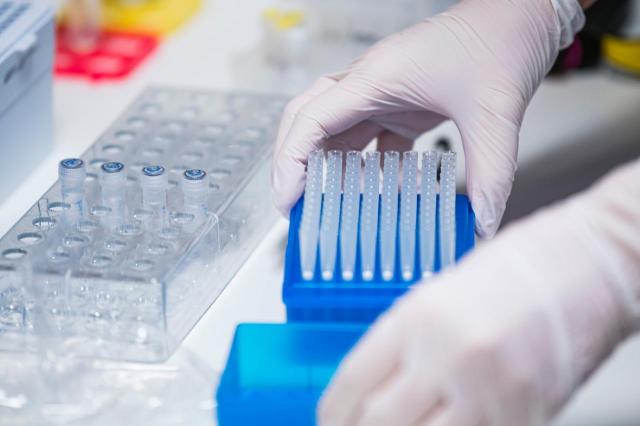 Variante Covid, Pal&ugrave;: "Allarmismo ingiustificato"