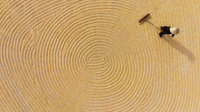 Cina: prosegue raccolto autunnale (1)