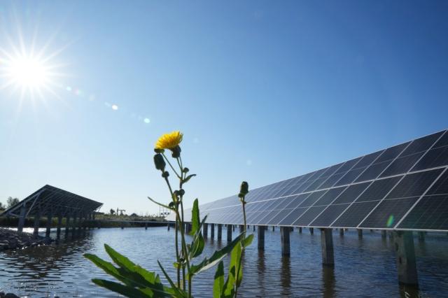 Cina: aumenta capacit&agrave; installata di energia rinnovabile