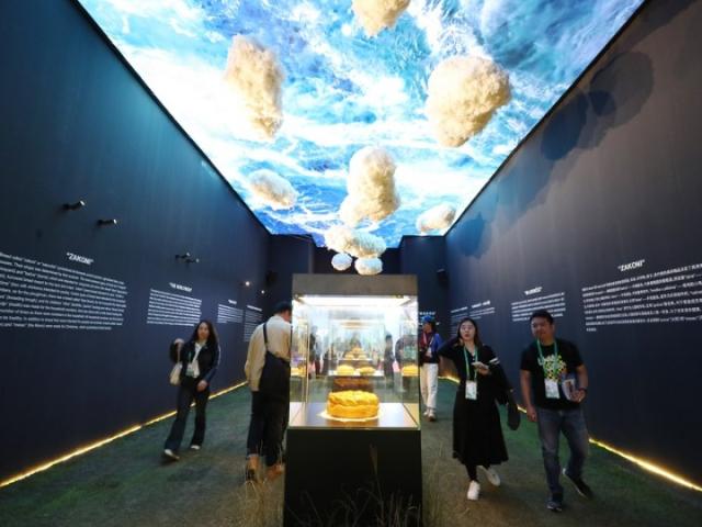 Cina: CIIE, esploriamo stand dei cinque Paesi ospiti d'onore