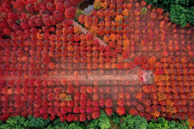 Cina: paesaggio invernale (2)