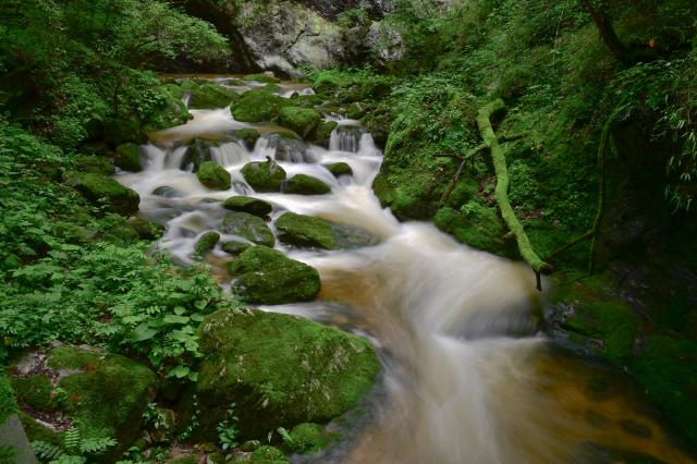 Cina: accelerer&agrave; gestione dell'impronta di carbonio per prodotti