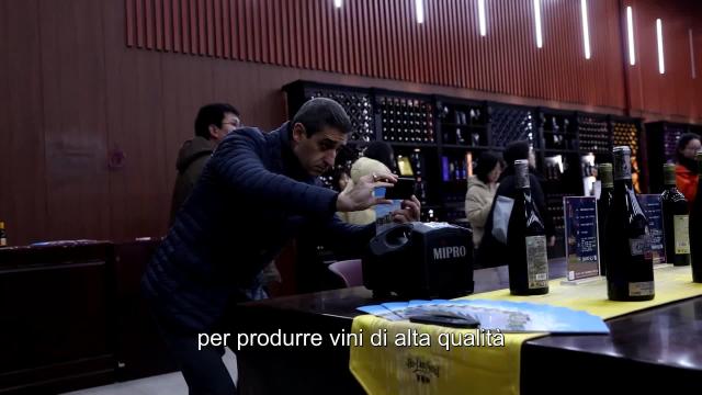 Cina: Ningxia, sviluppo settore vinicolo affascina stranieri in visita
Dopo 40 anni di sviluppo, regione emerge come maggior produttrice vinicola del Paese