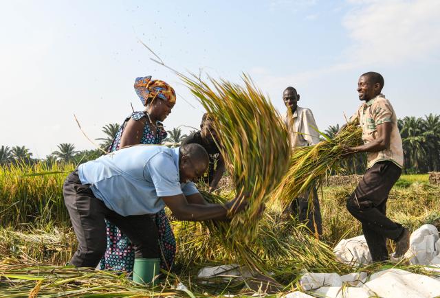 Rapporto, cooperazione agricola BRI aiuta a ridurre fame in Paesi meno sviluppati