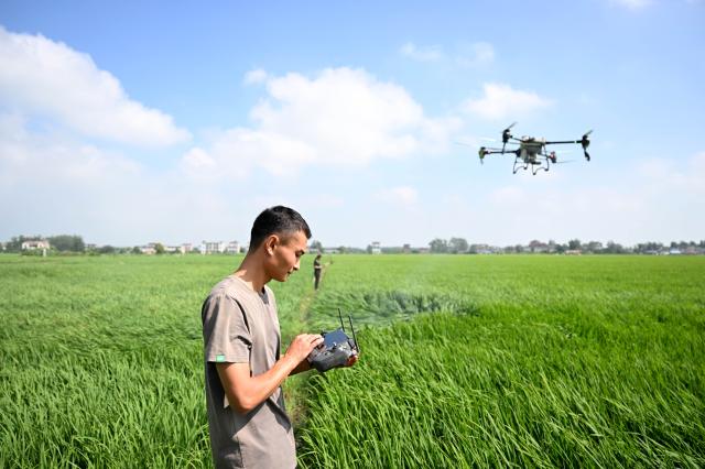 Cina: giovani contribuiscono a rivitalizzazione rurale (2)