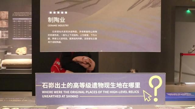 Cina: ex attrice croata, cultura nazionale mi stupisce
Dal 2016, Vitomira Loncar vive a Xi'an e lavora come professoressa alla Xi'an Eurasia University