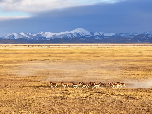 Cina: panorama della Riserva naturale nazionale dei monti Altun (3)