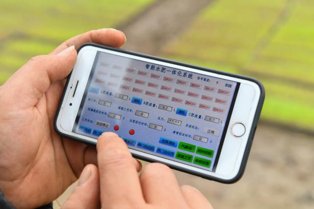 Cina: spedizioni telefoni cellulari, +6,5% nel 2023