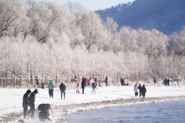 Cina: paesaggio di brina lungo il fiume Songhua a Jilin (3) 
