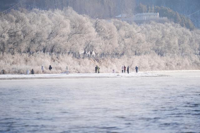Cina: paesaggio di brina lungo il fiume Songhua a Jilin (1) 