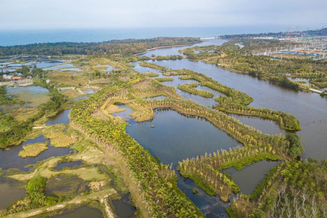 Cina: Hainan, Haikou &egrave; citt&agrave; internazionale delle zone umide (2)