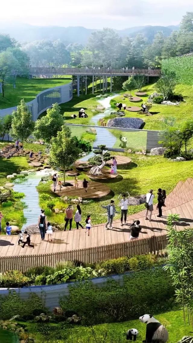 Cina: base di Pechino ospiter&agrave; 50 panda giganti nel 2025
Base del Centro di ricerca e conservazione dei panda giganti entrer&agrave; in funzione nel 2025