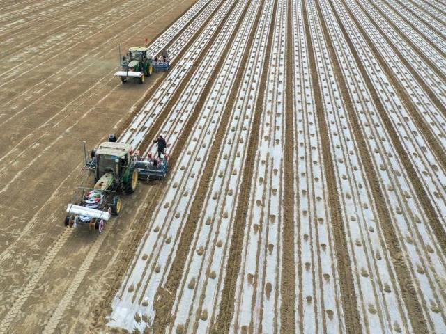 Cina: nel maggior hub produttivo di cotone inizia semina primaverile